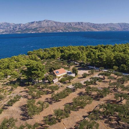 Pet Friendly Home In Postira With Kitchen Εξωτερικό φωτογραφία