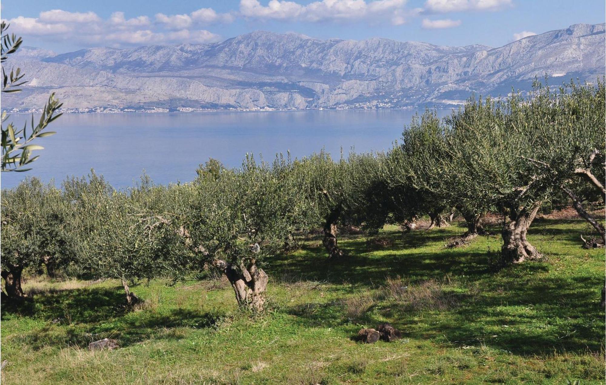 Pet Friendly Home In Postira With Kitchen Εξωτερικό φωτογραφία
